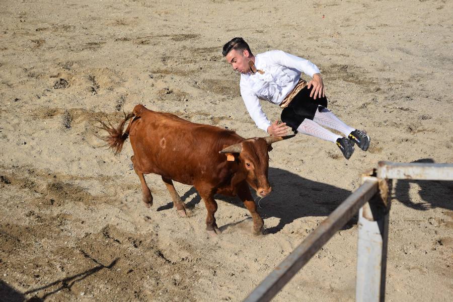 Fotos: Espectáculo de cortes en Guardo
