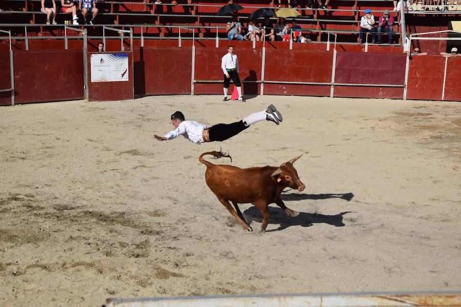 Fotos: Espectáculo de cortes en Guardo