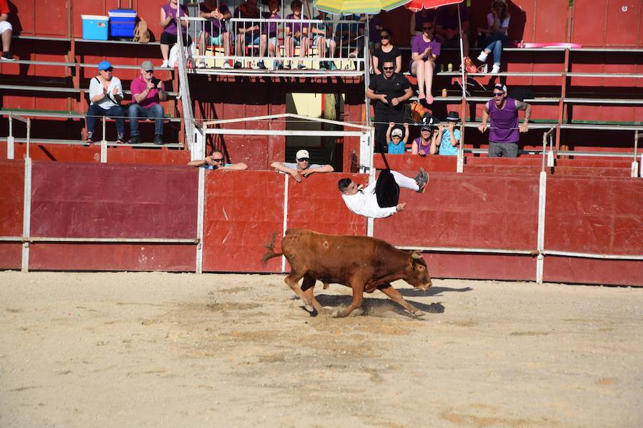 Fotos: Espectáculo de cortes en Guardo