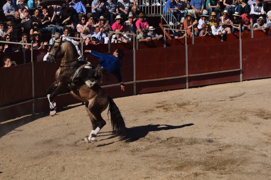 Fotos: Accidentada corrida de toros en las fiestas de Guardo