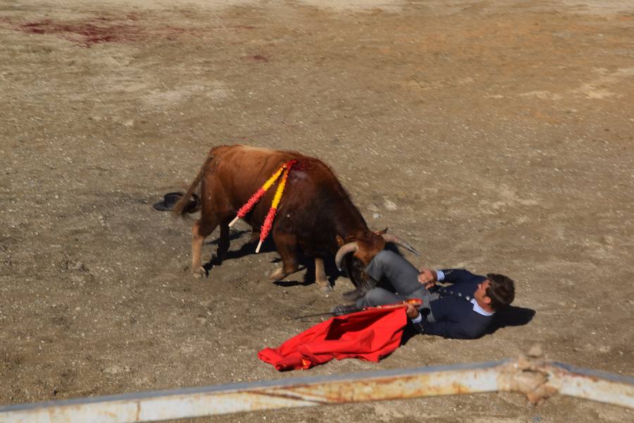 Fotos: Accidentada corrida de toros en las fiestas de Guardo