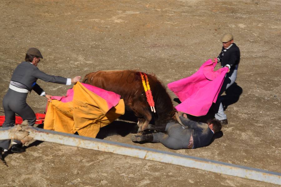 Fotos: Accidentada corrida de toros en las fiestas de Guardo