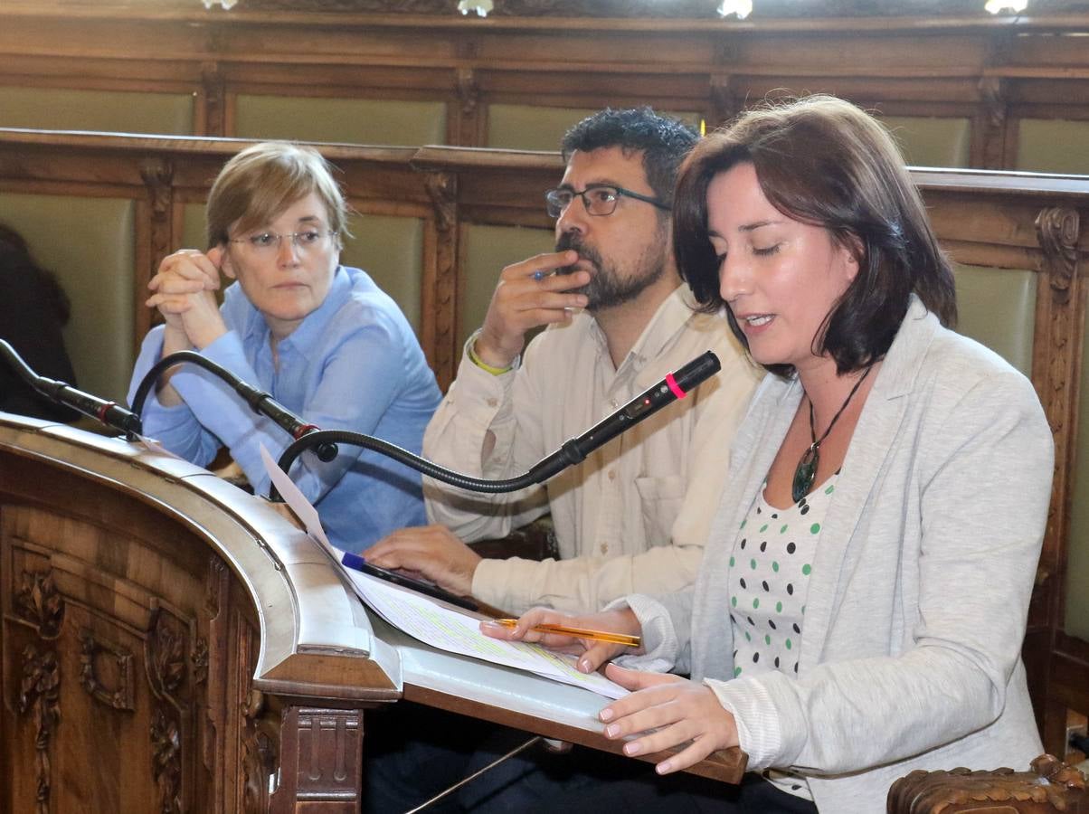 Fotos: Pleno en el Ayuntamiento de Valladolid