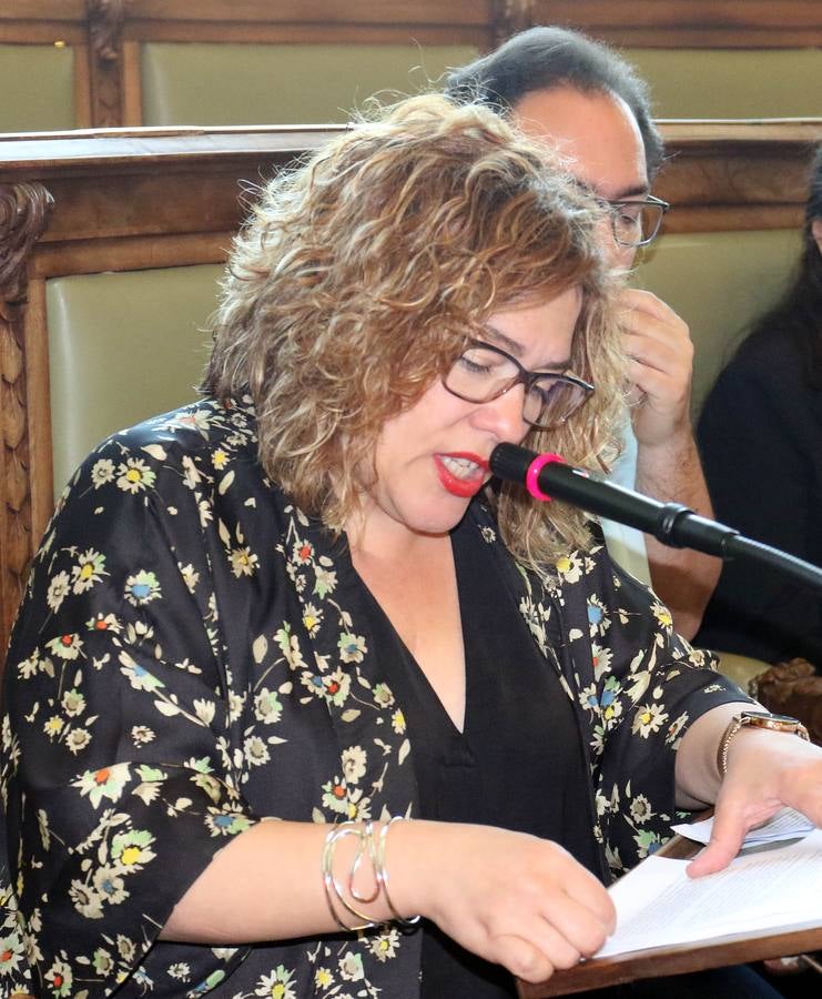 Fotos: Pleno en el Ayuntamiento de Valladolid
