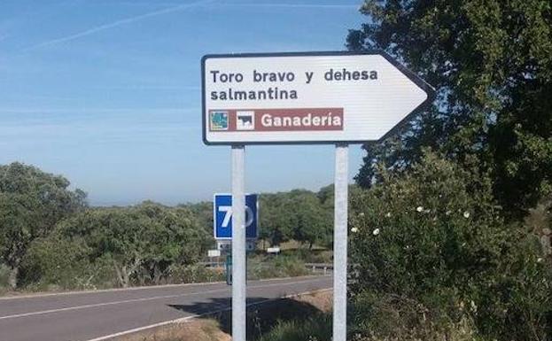 Señalización de la Ruta Toro Bravo y Dehesa salmantina. 