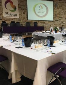Imagen secundaria 2 - La cosecha del 2017 de los vinos de la DO Bierzo es «muy buena»