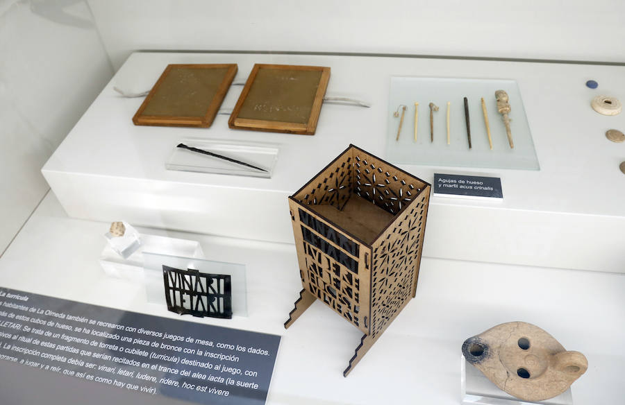 Fotos: Reapertura del museo de La Olmeda en Saldaña