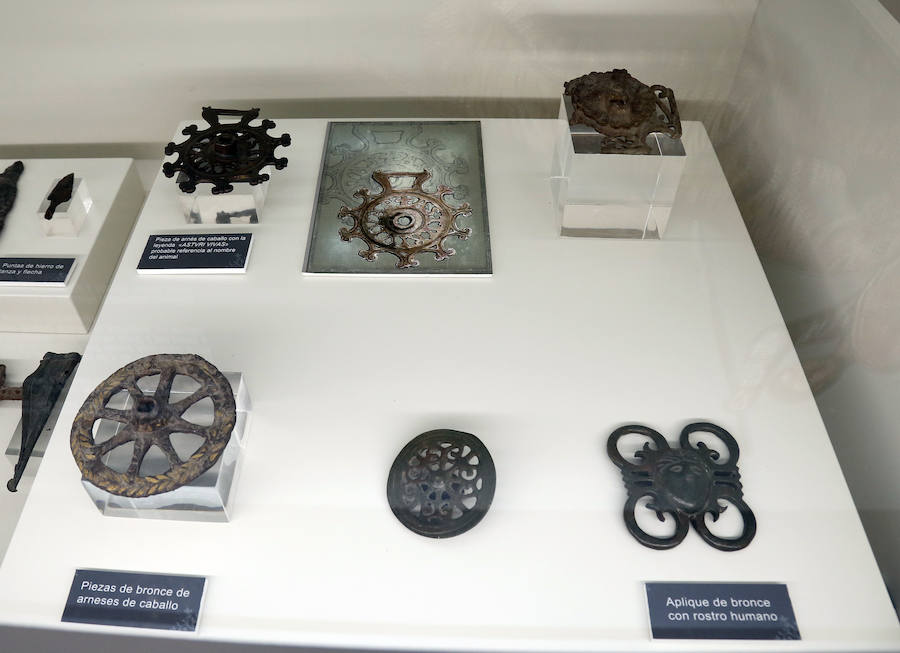 Fotos: Reapertura del museo de La Olmeda en Saldaña