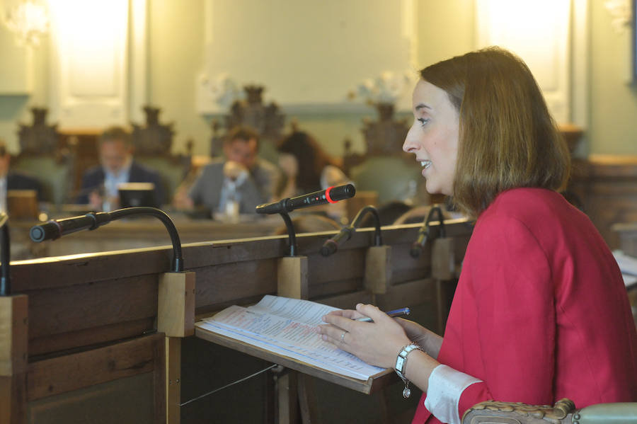 Fotos: Pleno en el Ayuntamiento de Valladolid