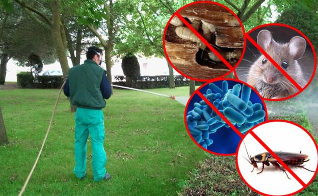 Un profesional de 3D' Tratamientos Biosanitarios, en un jardín. 