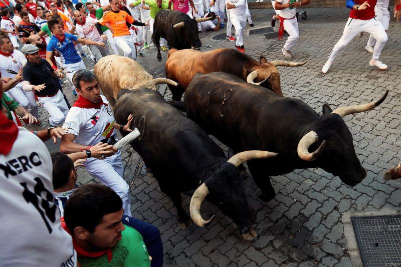 Los astados protagonizan una carrera rápida con algunos momentos de tensión