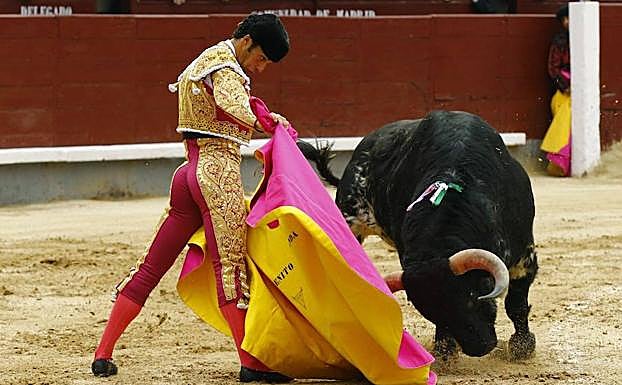 El diestro Morenito ed Aranda da un pase a un toro. 