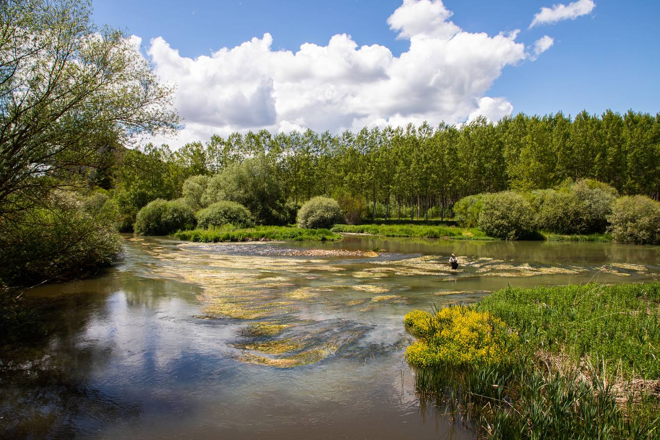 En la localidad palentina de Villaescusa de las Tuerces se levanta las gigantescas piedras en forma de setas, puentes y arcos naturales, cerrados callejones y umbrías covachuelas que dan lugar a un encantado paisaje en el que parecen habitar duendes y brujas