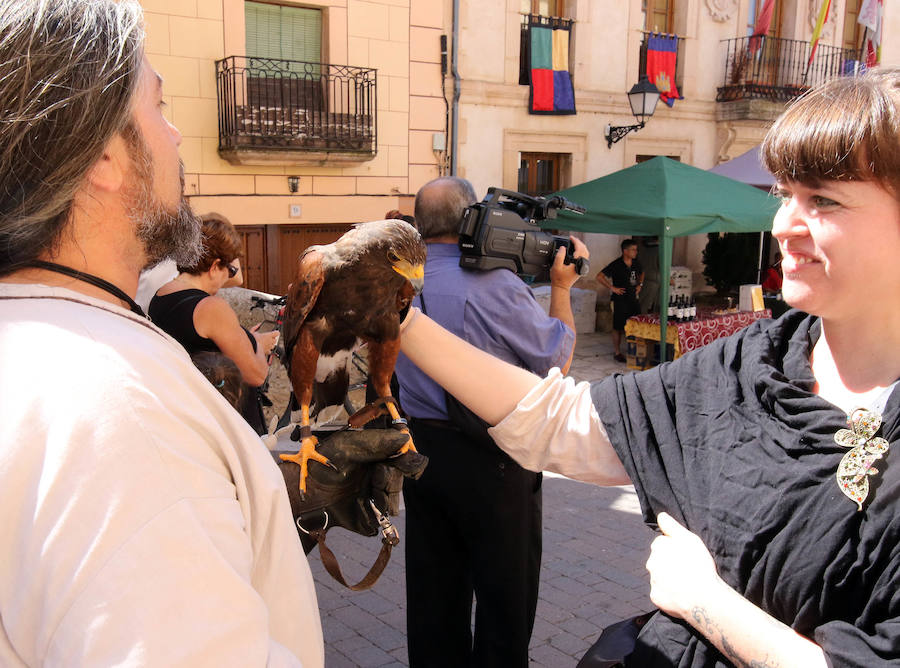 Fotos: Fiesta de los Fueros de Sepúlveda