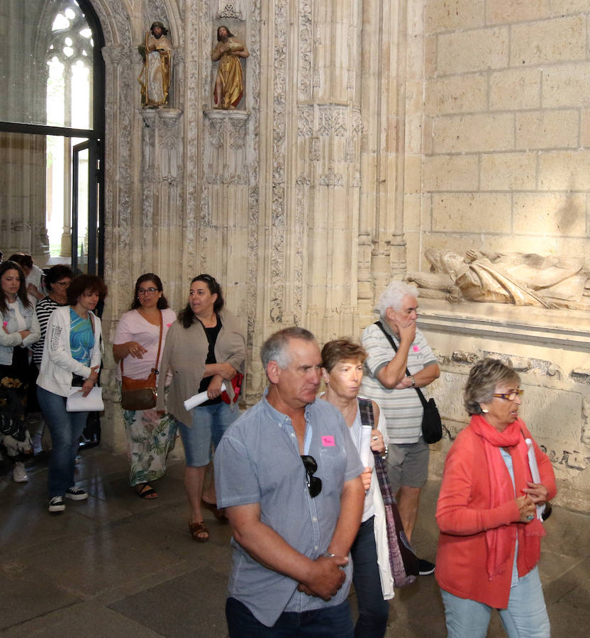 Fotos: Las visitas de Domingos de Patrimonio llegan a la Catedral de Segovia