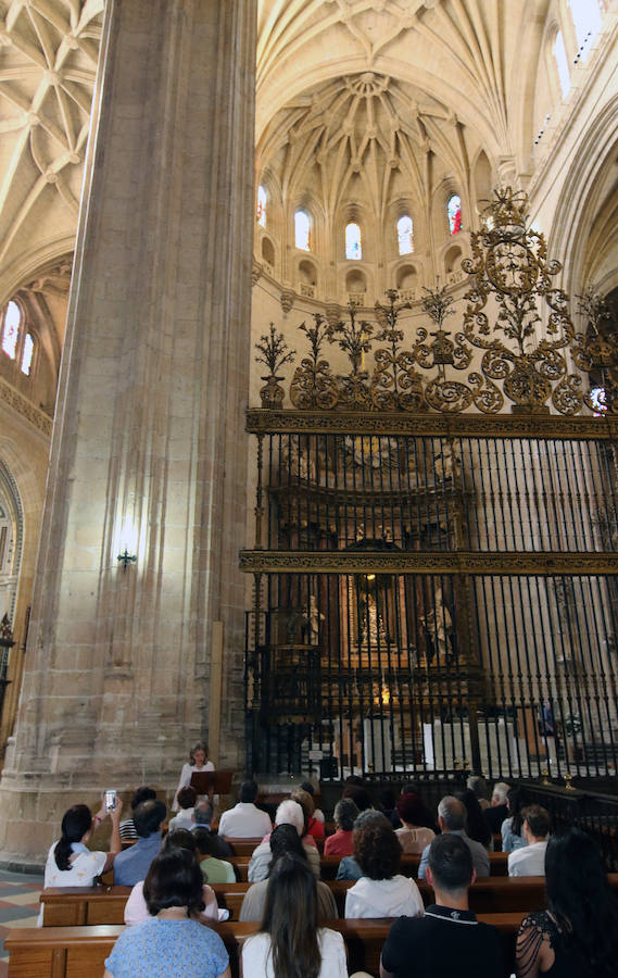 Fotos: Las visitas de Domingos de Patrimonio llegan a la Catedral de Segovia