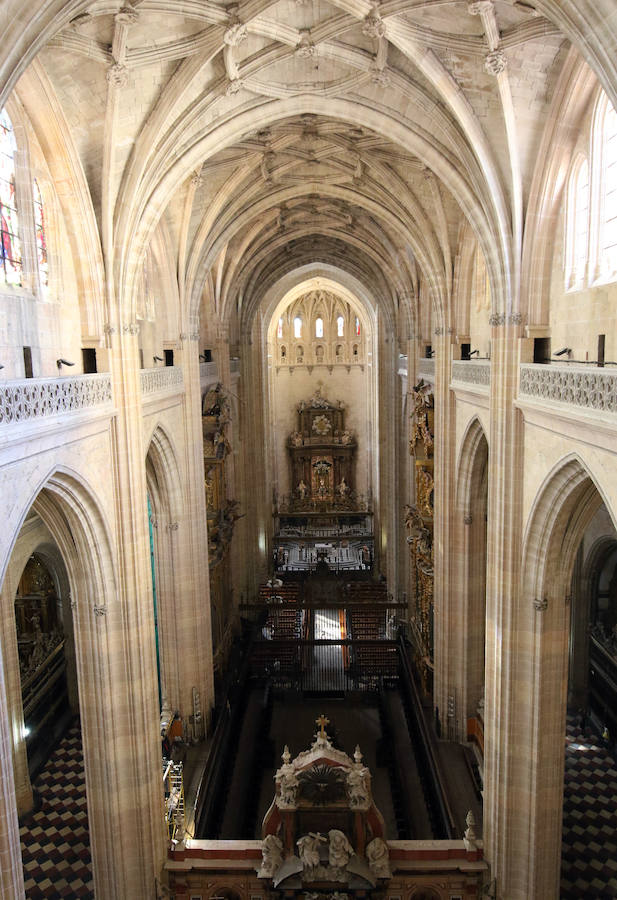 Fotos: Las visitas de Domingos de Patrimonio llegan a la Catedral de Segovia