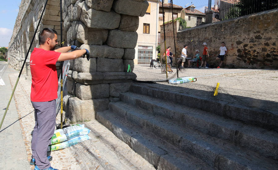 Fotos: Control de la colonia de vencejos en Segovia