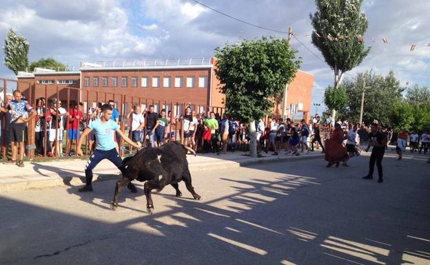 Toro del cajón de ayer en las calles del pueblo.