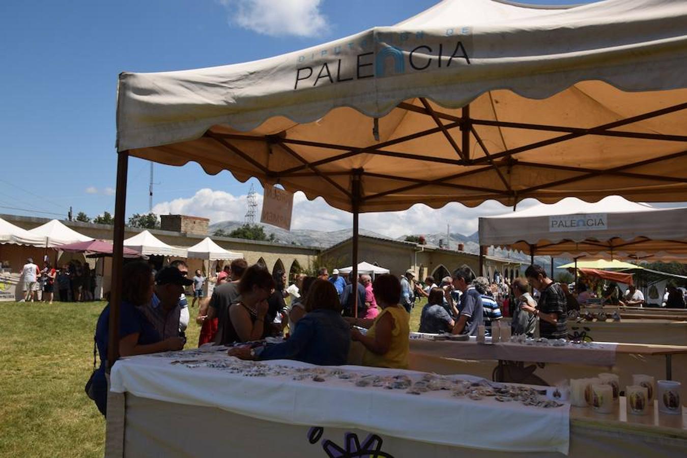 Fotos: Fiesta del Carmen en Guardo