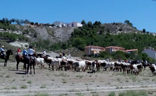 Imagen de una edición anterior de la Feria de la Trashumancia en Portillo.