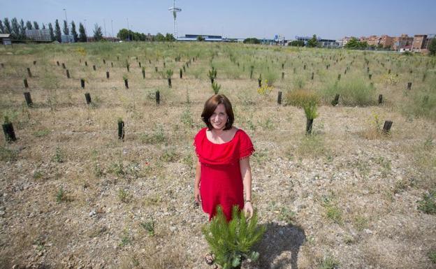 La edilMaría Sánchez posa con los árboles plantados en el Soto de la Medinilla, repoblado con 18.000 ejemplares. 