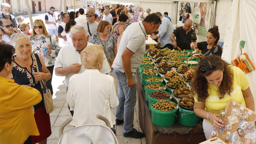 Fotos: XXV Feria del Queso en Frómista