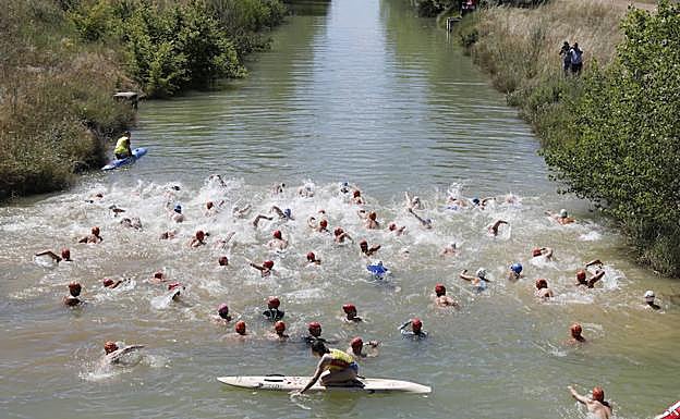 Varios nadadores inician la travesía a nado en el Canal de Castilla a su paso por Paredes de Nava.
