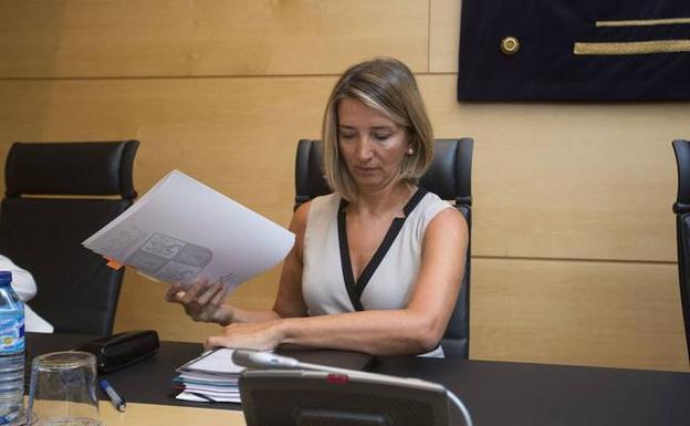 La consejera de Familia e Igualdad de Oportunidades de la Junta de Castilla y León, Alicia García.