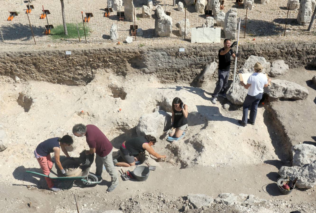 Fotos: Excavaciones en el yacimiento arqueológico de Pintia