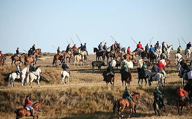 Caballistas en un encierro de la pasada edición. 