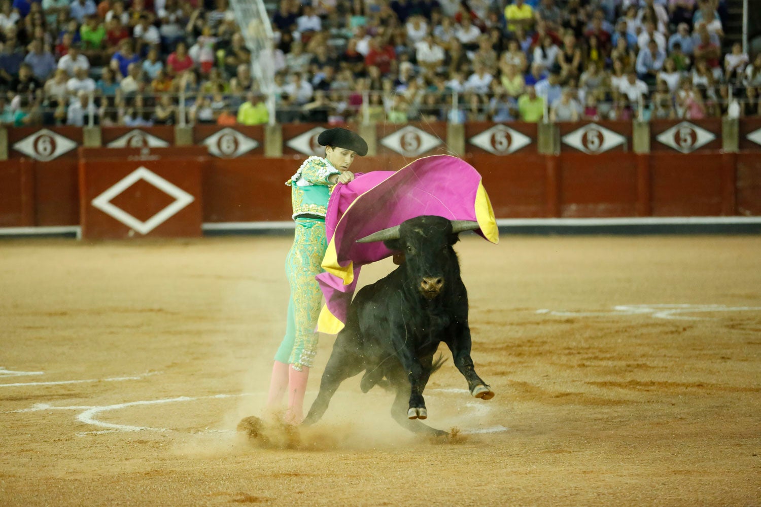 Una novillada con caballos, cuatro corridas de toros y una corrida de rejones mixta, que se celebrarán del 12 al 21 de septiembre