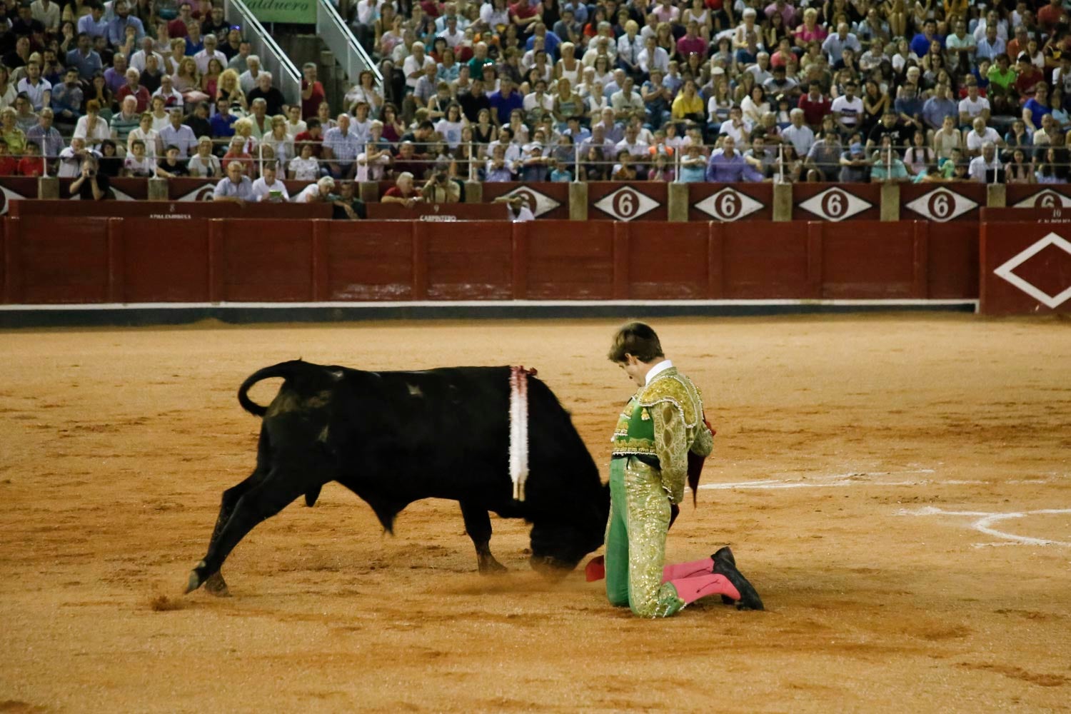 Una novillada con caballos, cuatro corridas de toros y una corrida de rejones mixta, que se celebrarán del 12 al 21 de septiembre