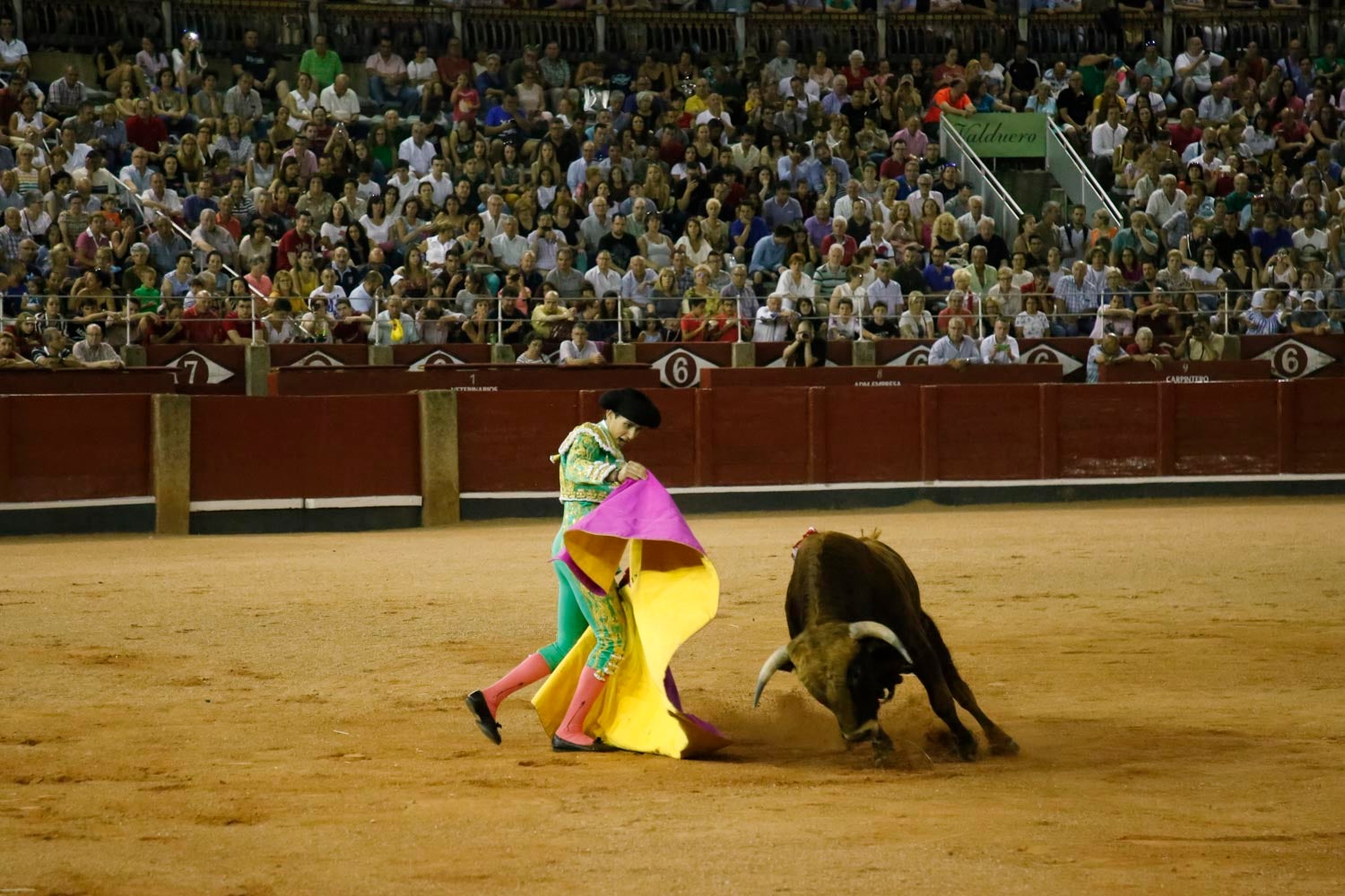 Una novillada con caballos, cuatro corridas de toros y una corrida de rejones mixta, que se celebrarán del 12 al 21 de septiembre