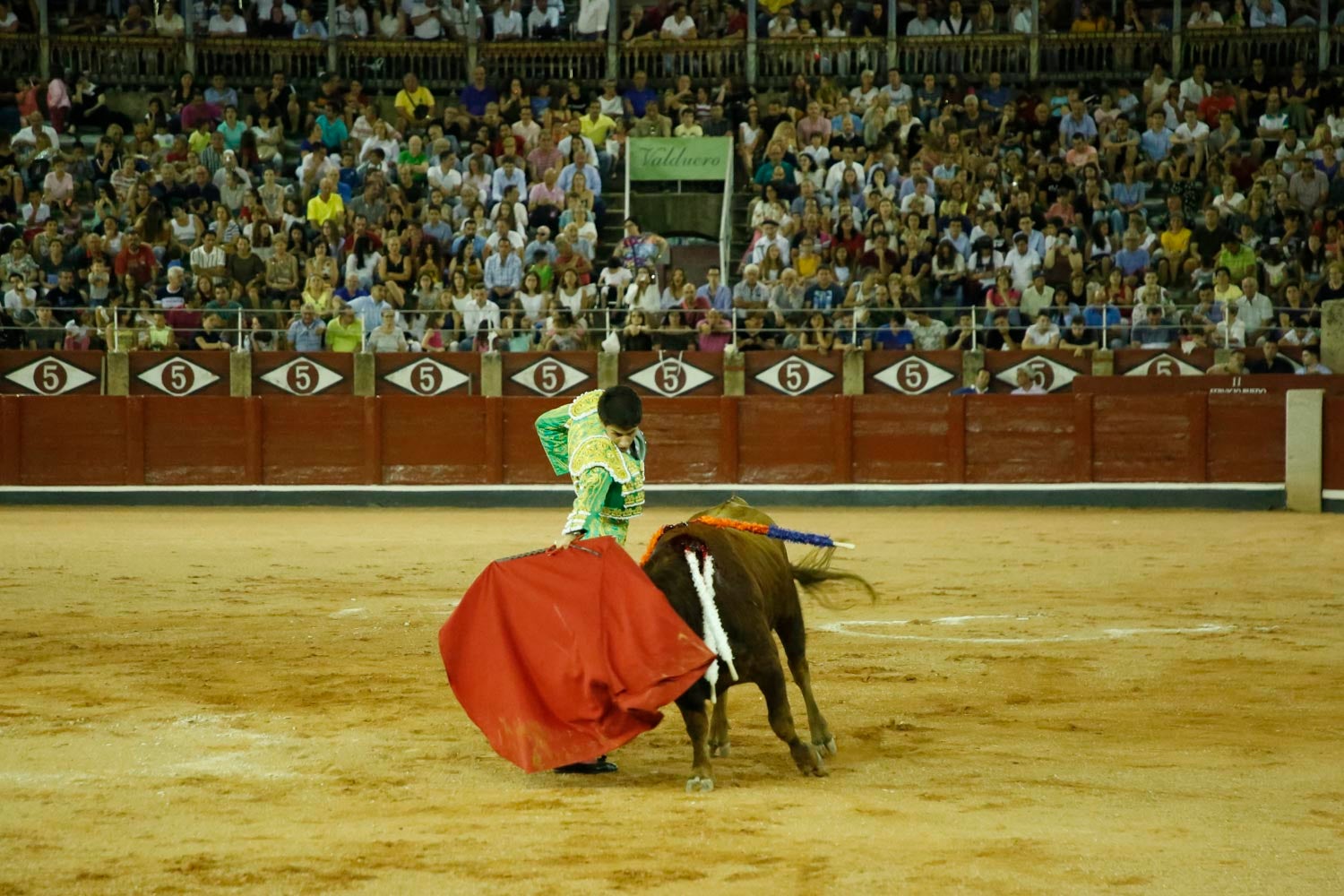 Una novillada con caballos, cuatro corridas de toros y una corrida de rejones mixta, que se celebrarán del 12 al 21 de septiembre