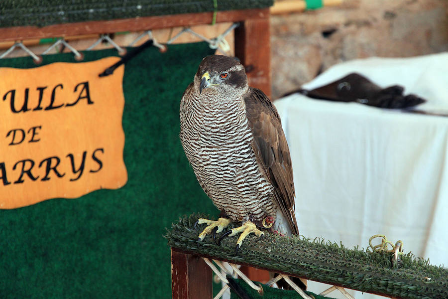 Fotos: Feria Medieval de Ayllón