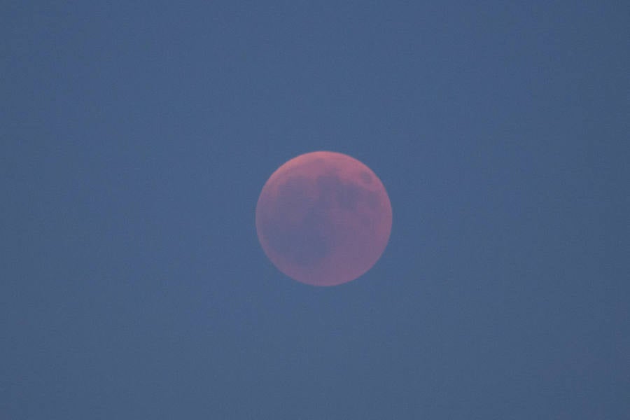 Fotos: Eclipse y luna de sangre en Salamanca
