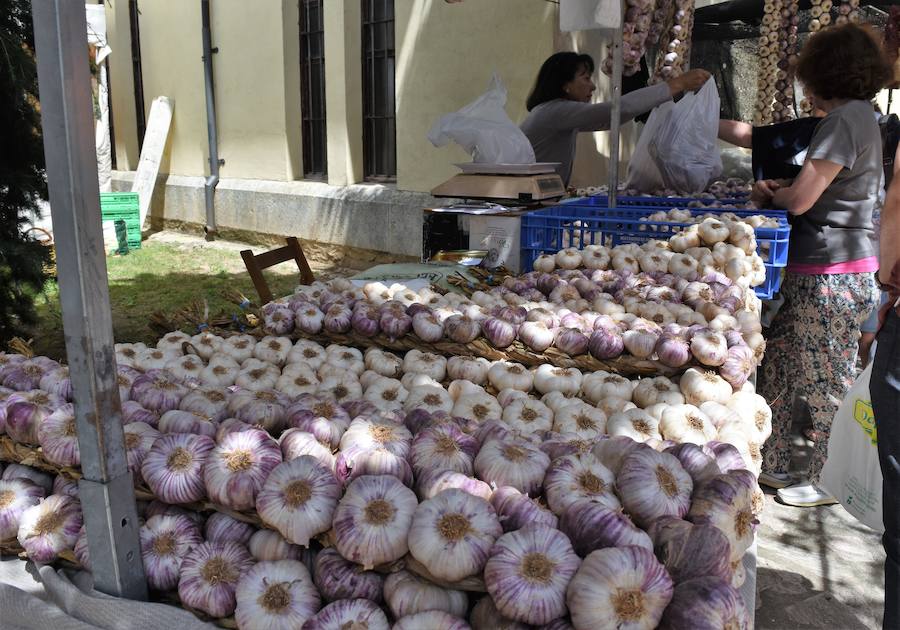 Fotos: Feria de la Artesania en Cervera de Pisuerga