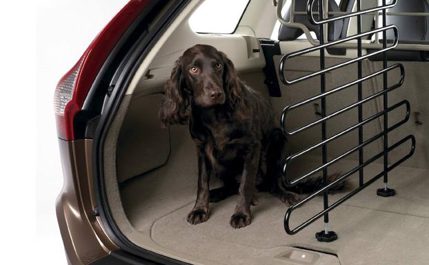 En coches tipo SUV, familiares o monovolúmenes, podemos llevar el perro en el maletero colocando una rejilla rígida que lo separe del resto de los pasajeros.
