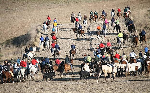 Decenas de caballistas durante los encierros de 2017. 