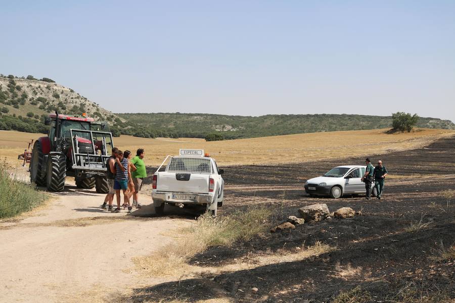 Fotos: Un incendio quema varias hectáreas de cereal y monte en Vertavillo
