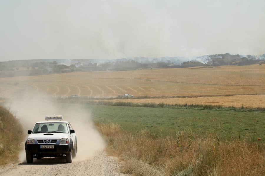 Fotos: Un incendio quema varias hectáreas de cereal y monte en Vertavillo