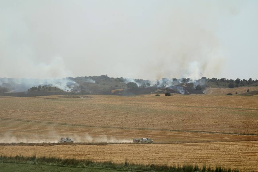 Fotos: Un incendio quema varias hectáreas de cereal y monte en Vertavillo