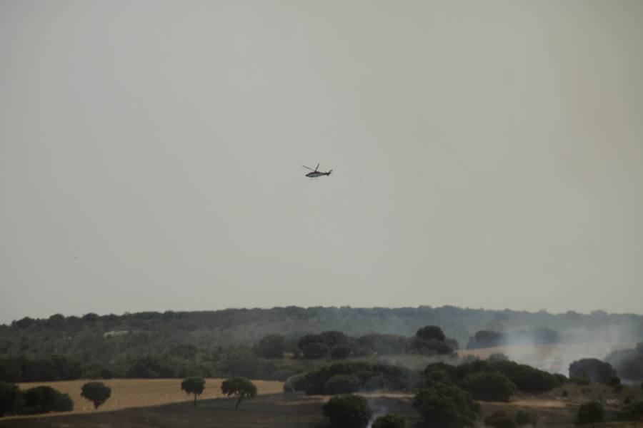 Fotos: Un incendio quema varias hectáreas de cereal y monte en Vertavillo