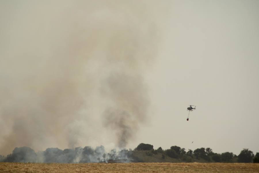 Fotos: Un incendio quema varias hectáreas de cereal y monte en Vertavillo