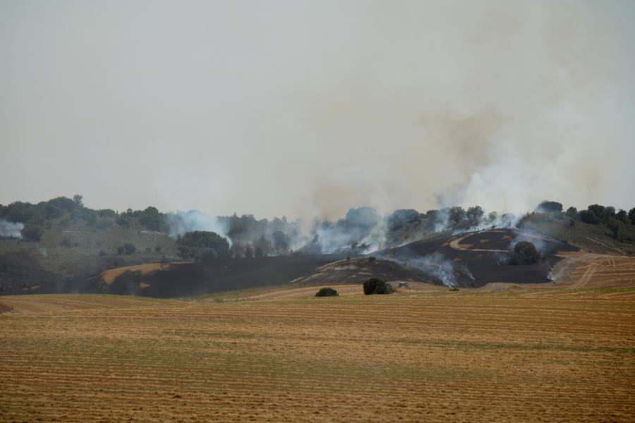 Fotos: Un incendio quema varias hectáreas de cereal y monte en Vertavillo