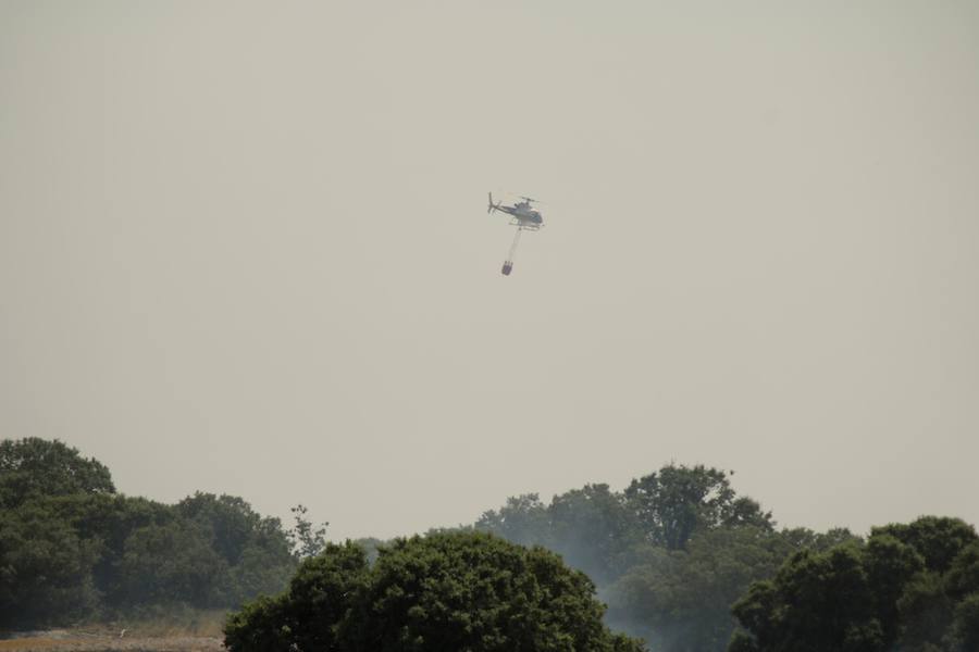 Fotos: Un incendio quema varias hectáreas de cereal y monte en Vertavillo