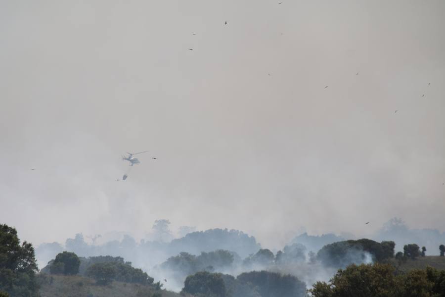 Fotos: Un incendio quema varias hectáreas de cereal y monte en Vertavillo
