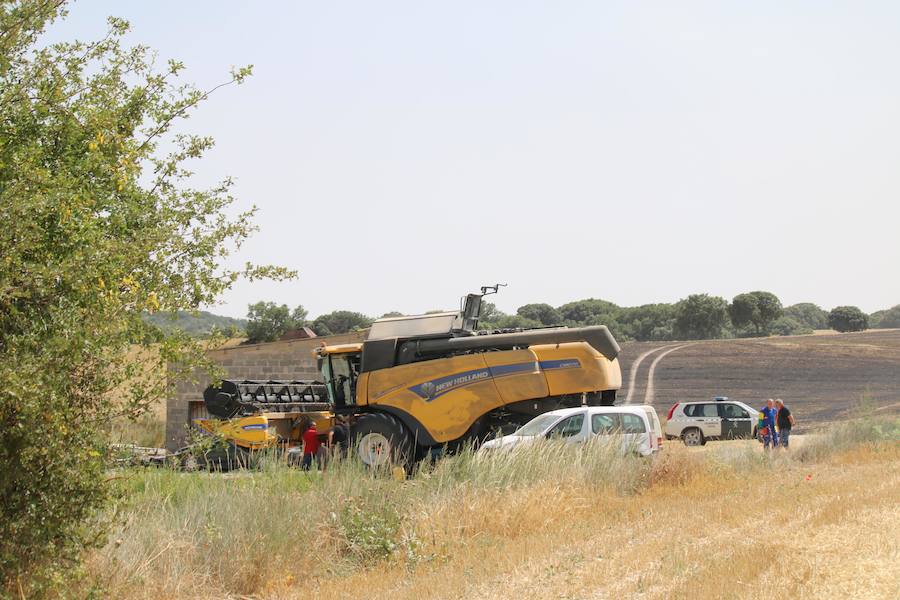 Fotos: Un incendio quema varias hectáreas de cereal y monte en Vertavillo