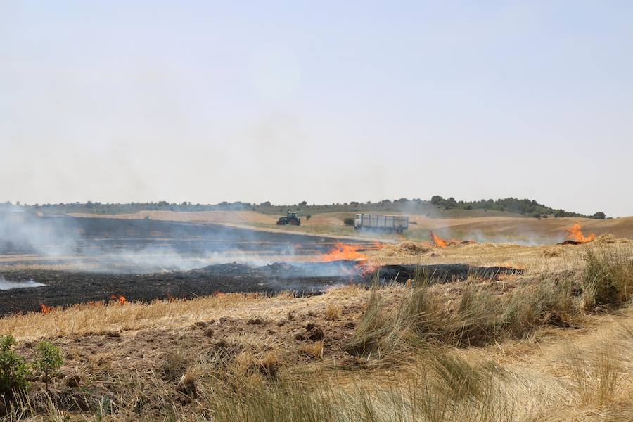 Fotos: Un incendio quema varias hectáreas de cereal y monte en Vertavillo